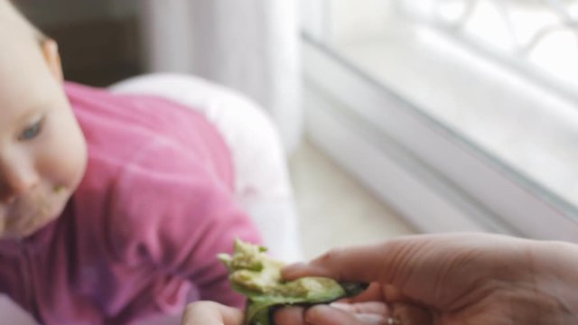 Baby eating avocado from mother's hands.
