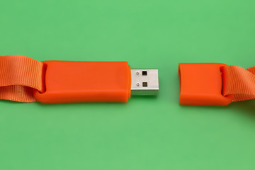 Orange USB flash memory on a green background