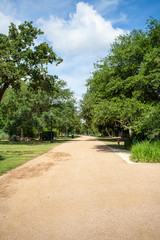 Obraz premium A pathway in a nature park.