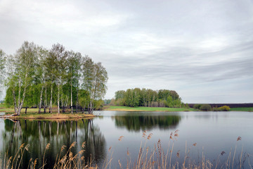 Obraz premium Beautiful landscape with a lake and birch trees in gloomy day in springtime