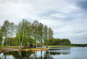 Fototapeta na wymiar Beautiful spring landscape with a lake and birch trees in gloomy day