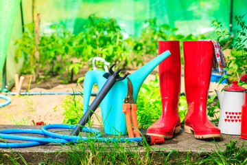 Gardening tools outdoor in garden