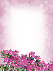 Fower fantasy background for card