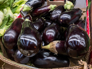 Fresh eggplant at market