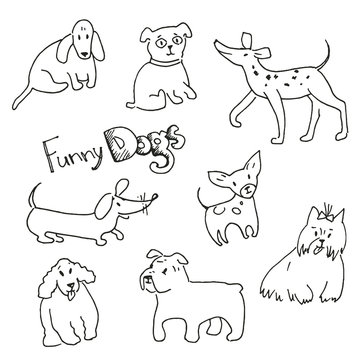Vector hand drawn doodle collection of funny dogs. Different bre