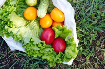 Vegetables lie in a paper bag