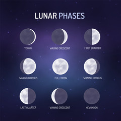 Lunar pheses. Visual teaching material on astronomy. Vector illustration.