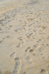 Foot print