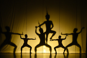 human shadow show
