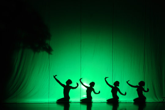 human shadow show
