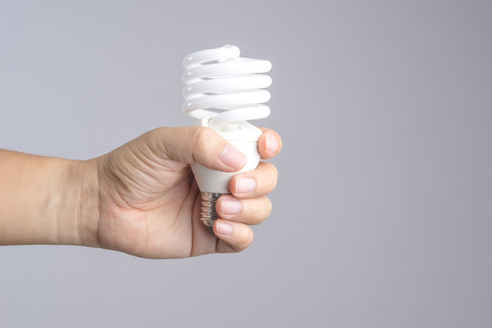 Hand holding compact fluorescent light bulb