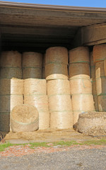 dried hay bales