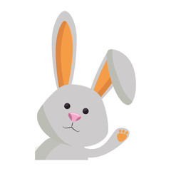 cute bunny icon over white background. colorful design. happy easter concept. vector illustration