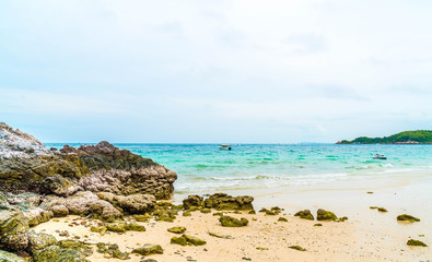 Fototapeta premium beautiful tropical beach at Koh Larn in Pattaya