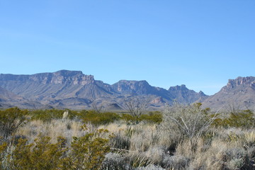 Big Bend National Park