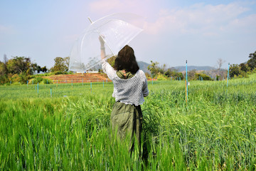Asian girl with umbrella in wheat field