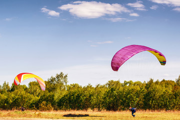 Flight and training paragliders. Paragliding. Clear sky.