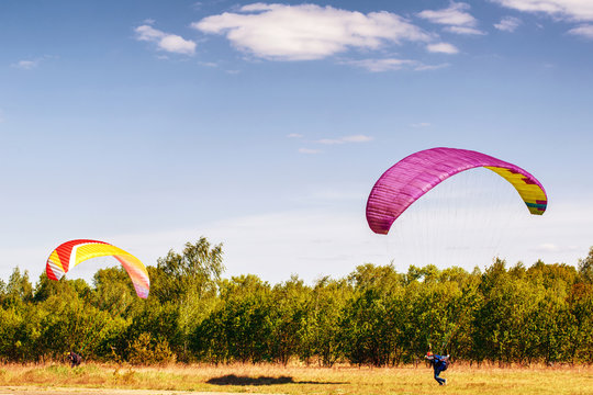 Flight and training paragliders. Paragliding. Clear sky.