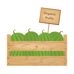 Wooden box of watermelons.  Vector illustration.