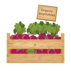 Wooden boxes of beetroots. Organic vegetables. Vector illustration.