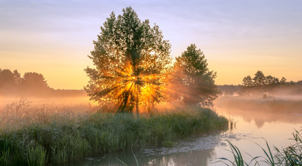 Obraz premium Wczesne promienie