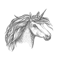 Mythic unicorn horse vector sketch