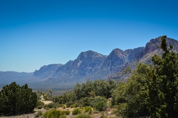 Red Rock Canyon National Conservation Area, Nevada