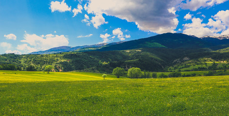 Photo depicting a beautiful colorful amazing mountain meadow paradise landscape, summertime. European alpine mountains bathed in sunshine on a blue sky background.