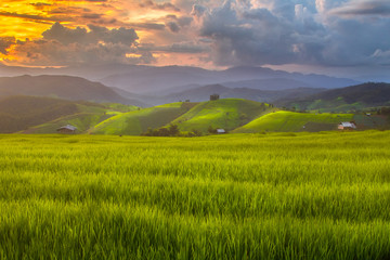 Beautiful terrace rice fields in Mae chaem, Chiang mai Thailand