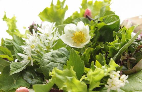 Wildkräuter Salat essbare Blüten Blätter 