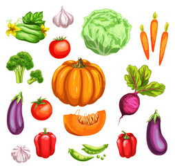 Vegetable watercolor set of fresh organic veggies