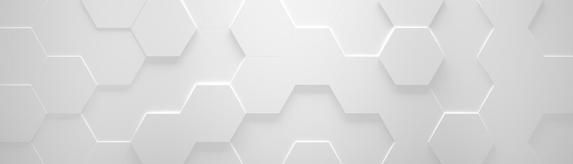White Wide Hexagon Background (Site head) (3d illustration) - obrazy, fototapety, plakaty