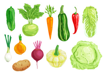 Organic vegetable watercolor illustration set