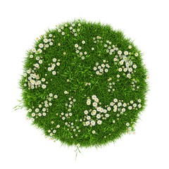 3D Rendering green grass field isolated on white background