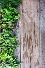 Fresh spicy herbs collected in a bunch on a wooden table, top view, copy space
