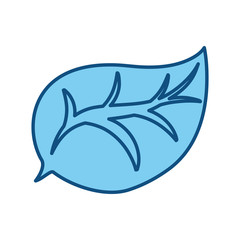 leaf nature draw vector icon illustration graphic design