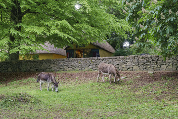 Bunratty Castle & Folk Park
