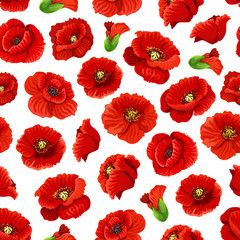 Flower of poppy floral seamless pattern background