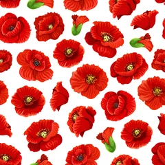 Printed kitchen splashbacks Poppies Flower of poppy floral seamless pattern background