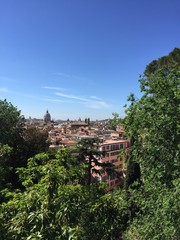 Fototapeta premium Roma