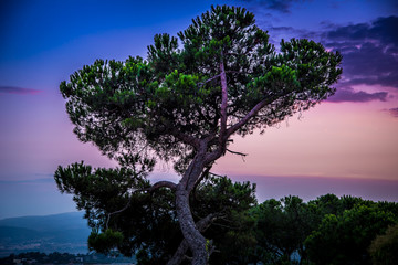 Barcelona Sunset from Mountain Tibidado 