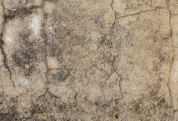 Cement floor in garden