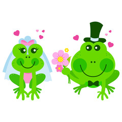 Cartoon bride and groom frogs. Vector illustration