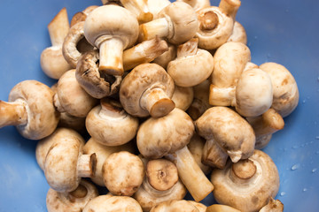Clean fresh mushrooms in a blue cup
