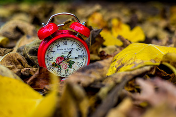 Red clock  in autumn leaves