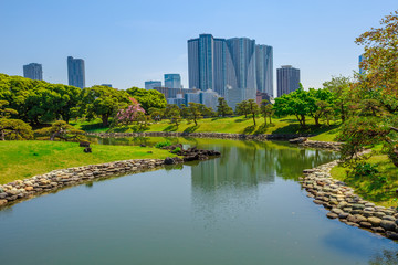 Hamarikyu Gardens is a large and attractive landscape garden in Tokyo, Chuo district, Sumida River, Japan. Oriental japanese garden. The Hama Rikyu is in contrast to the skyscrapers of city. © bennymarty