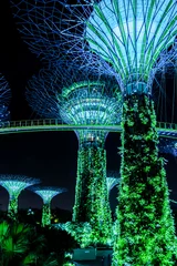 Zelfklevend Fotobehang Supertreegarden bij nacht in Singapore © Daco