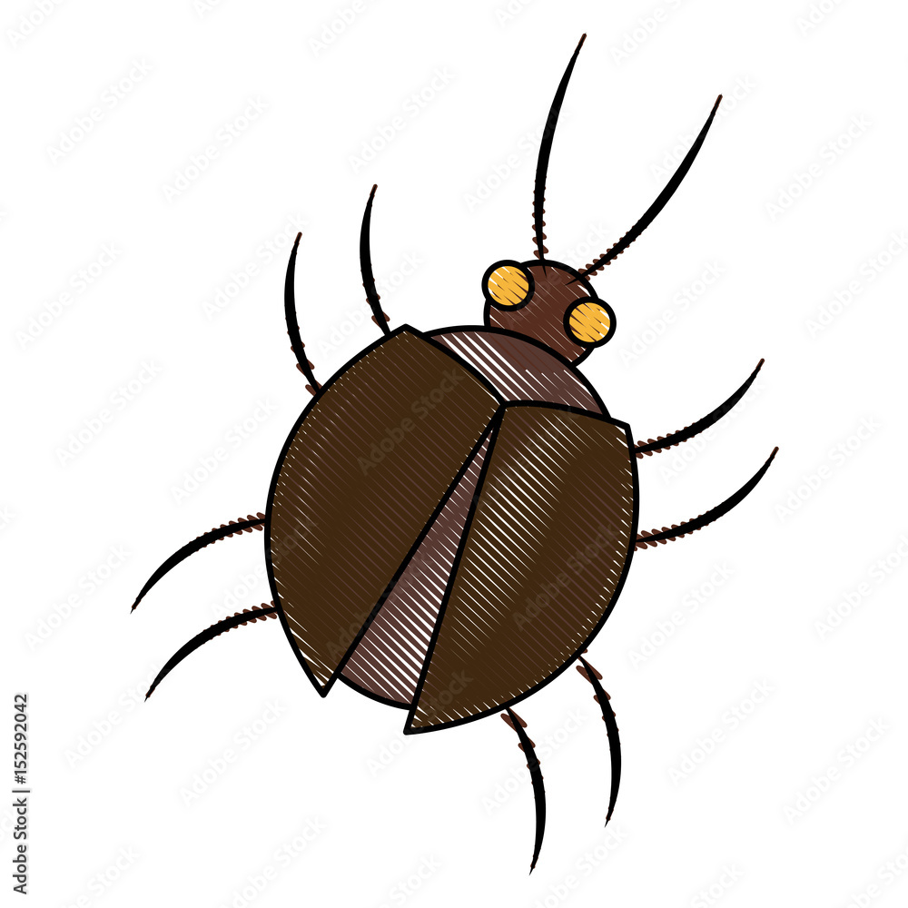 Poster virus bug hacking computer software vector illustration