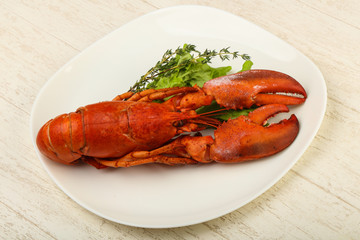 Lobster