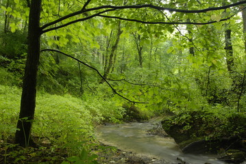 Ojcowski Park Narodowy.